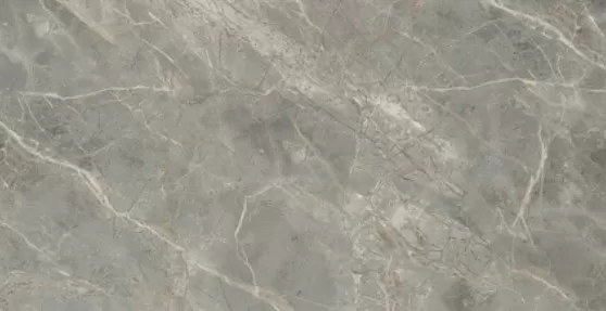 Керамогранит 761732 ETOILE GRIS MAT RET 120X240