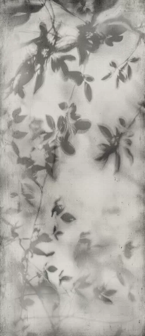 Керамогранит PF60010089 Art Walls Shadow Nat R 120x280