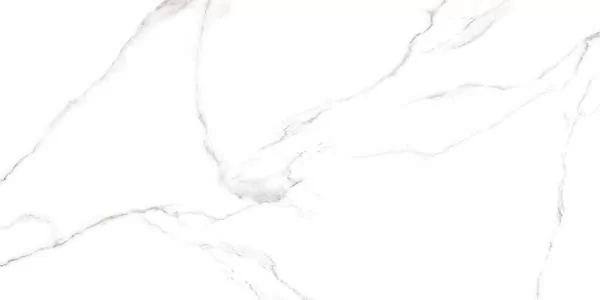 Керамогранит GFU60120CRR00R Carrara 60х120