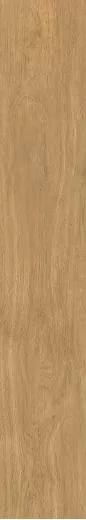 Керамогранит BNS212003 Ocher 20x120