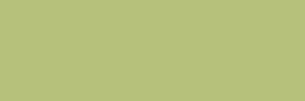 Плитка Citta Pistacchio MJ09 10*30