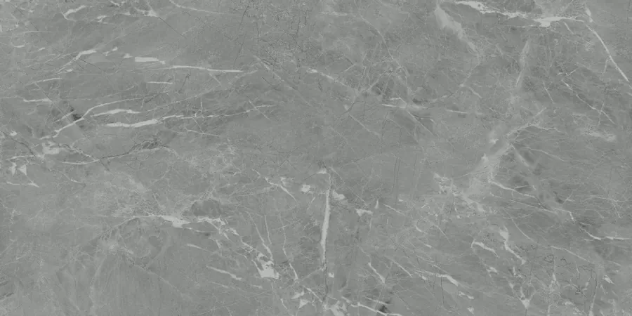 Керамогранит N20468 Eva Gris Polished 60x120