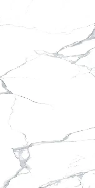 Керамогранит MEGNUS STATURIO Glossy 60x120