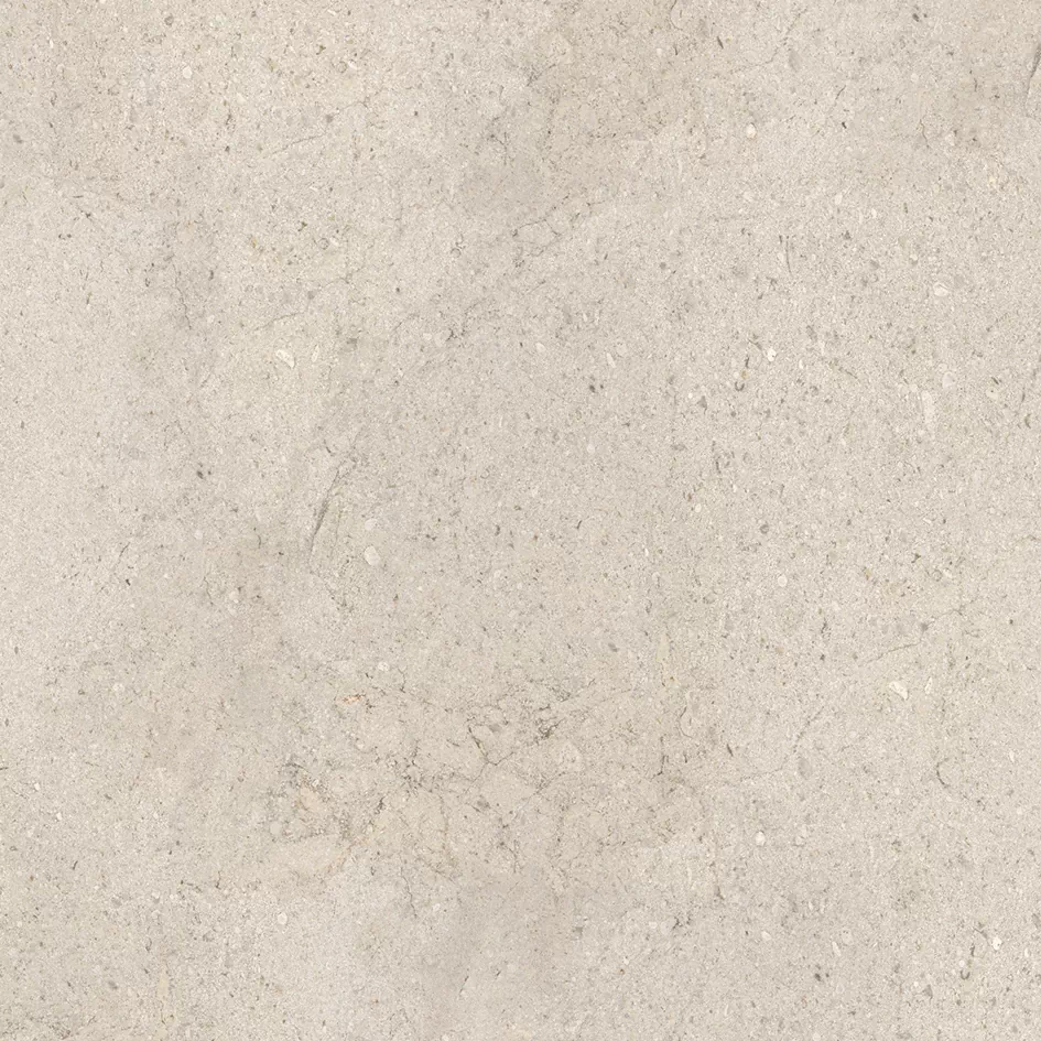 Керамогранит 100348054 Dorcia Bone L 80x80