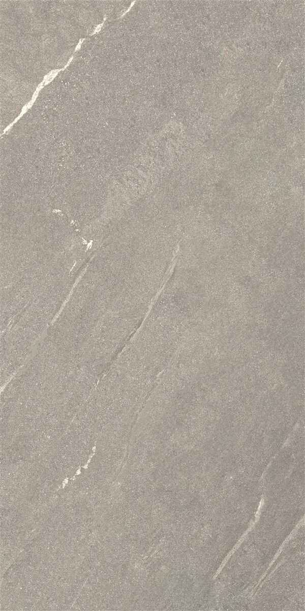 Керамогранит P14507.6 Tiger Matt Grey Rect 60x120