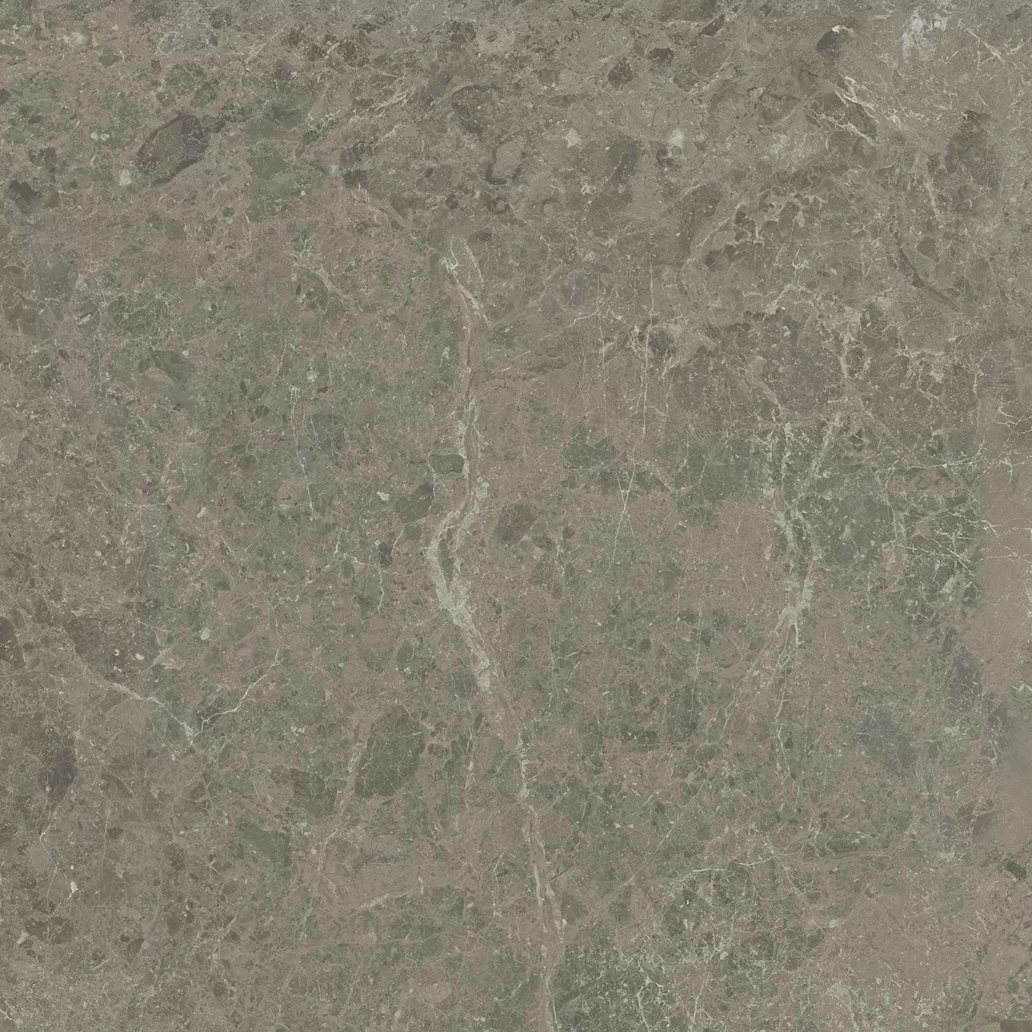 Керамогранит AJI8 Marvel Meraviglia Grigio Elegante Lapp. 60x60