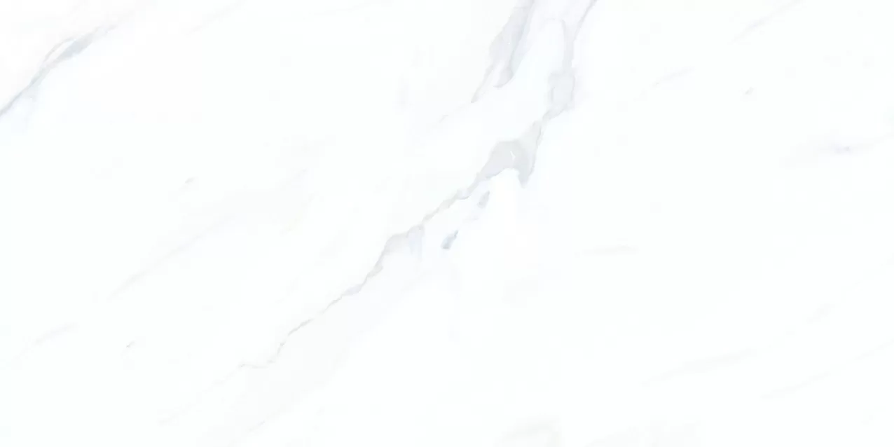 Керамогранит Calacatta POL 120x60