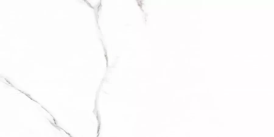 Керамогранит Carrara Rect матовая 60x120