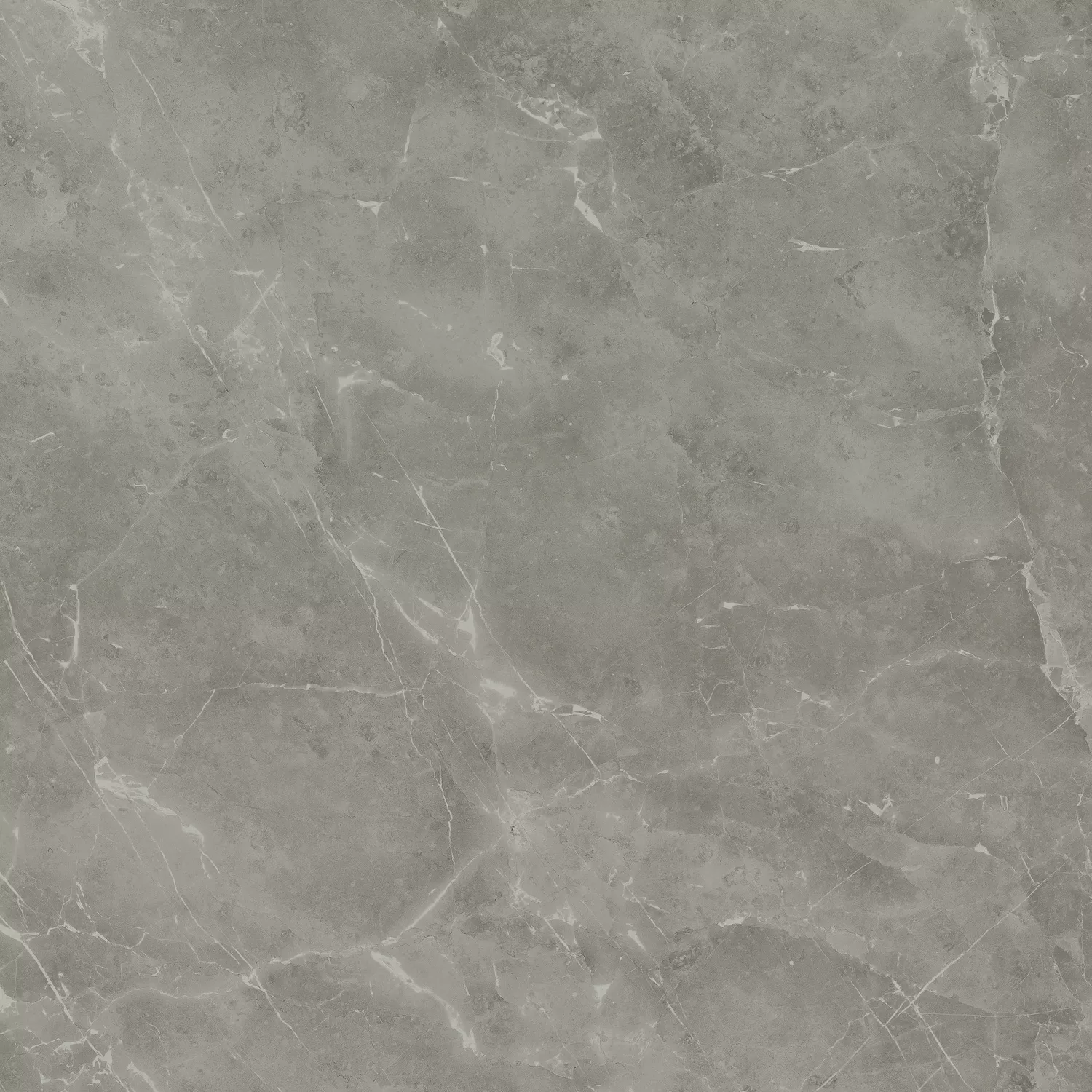 Керамогранит A205 Marvel Grey Fleury 120x120