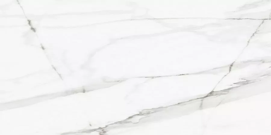 Керамогранит Callacata Silver Rect матовая 60x120