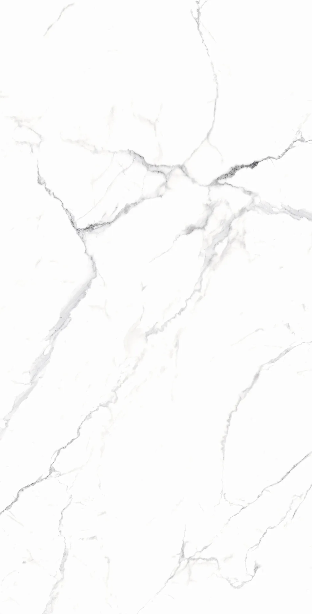 Керамогранит RT7018-A Carrara White Matt Rustic 60x120
