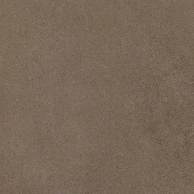 Керамогранит 781066 Easy Life Mushroom Matte Silk Ret 120x120
