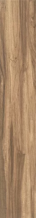Керамогранит ZC 1223082 rect. 20x120