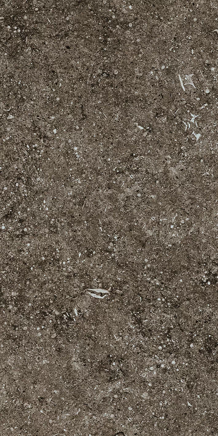 Керамогранит 768353 Sensi Brown Fossil Ret 40x80