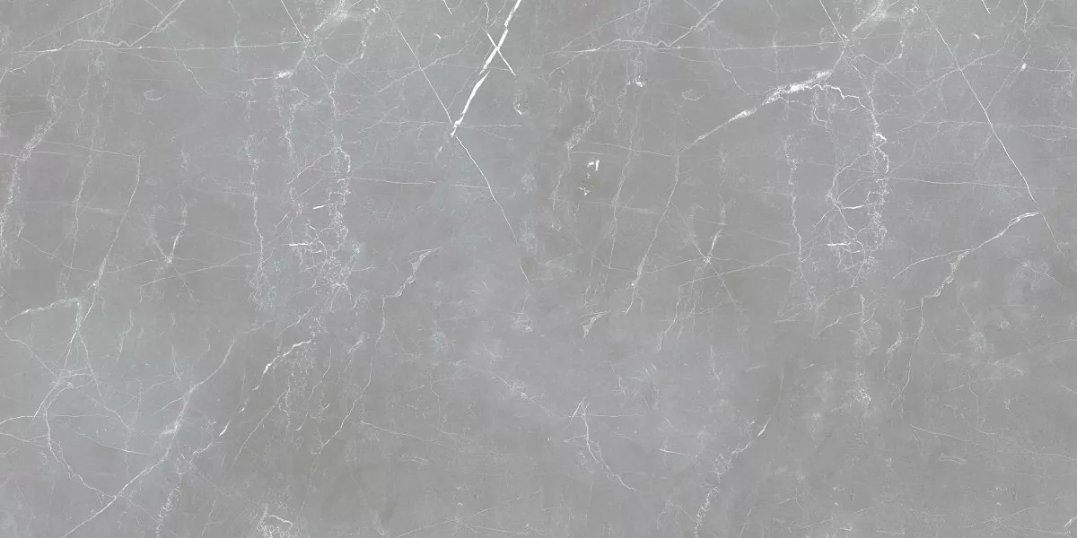 Керамогранит Arion Gray Dark 59.7х119.7