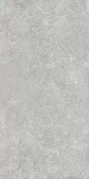 Керамогранит Borgogna Silver Matt 160x320