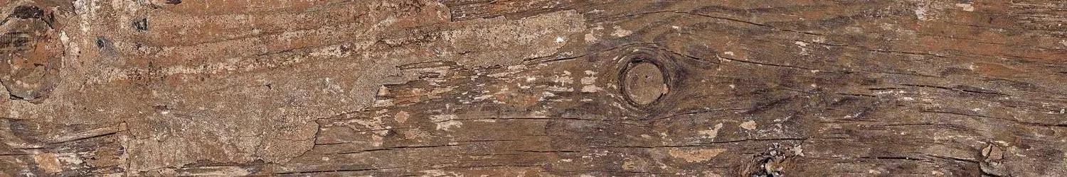 Керамогранит Kiwi Redroot Mat 20x120