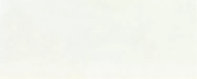 Плитка SO 18/Bianco 20*50