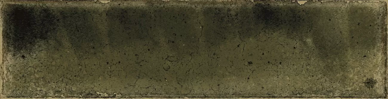 Керамогранит Jazba Olive Brillo 6х24.6
