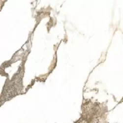 Керамогранит PRO 1127G Aura Oro 600x600