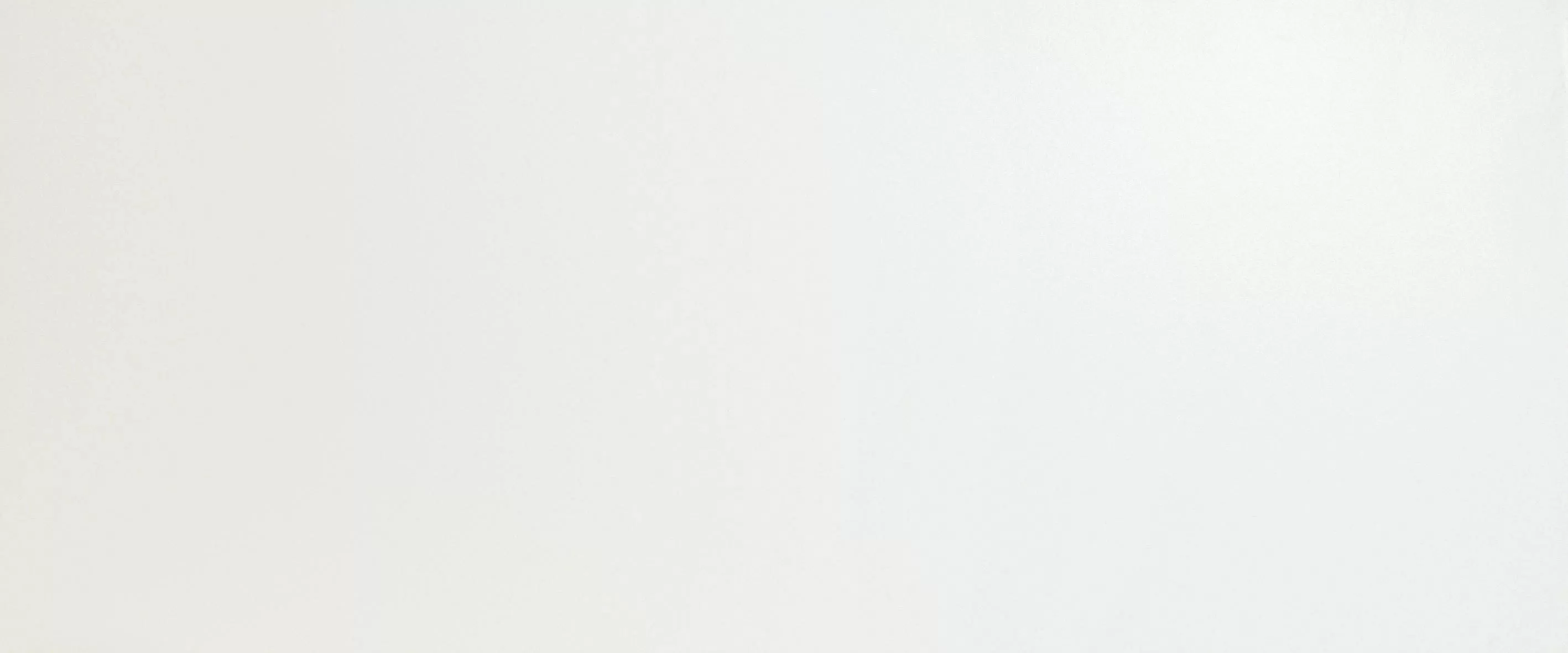 Плитка A6BF Solid White Matt 50x120