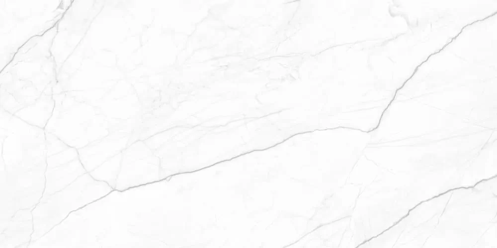Керамогранит Royal Infinite White 120x60