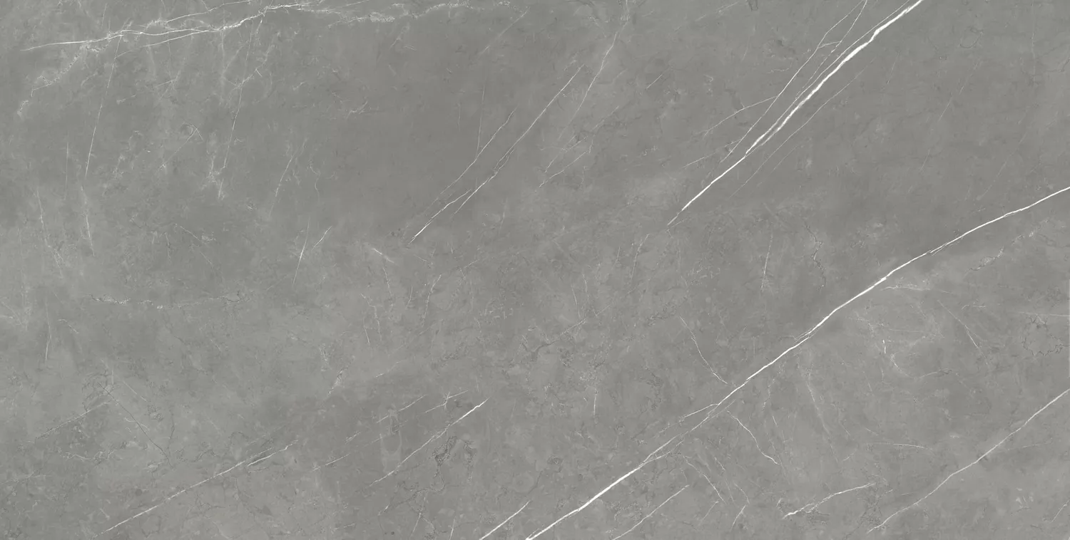 Керамогранит 610015000665 Forte dei Marmi Elegant Grey Lapp 80x160