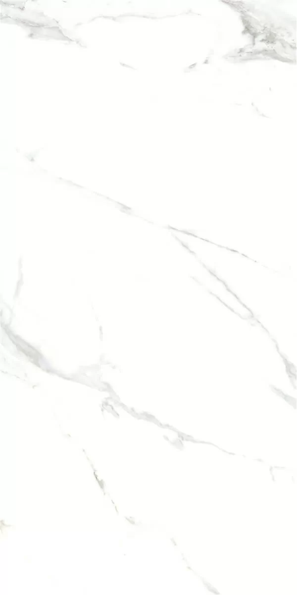 Керамогранит P15006 Royal Marble White Polished Rect 60x120