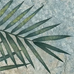 Керамогранит TR3333 Tropic 33х33
