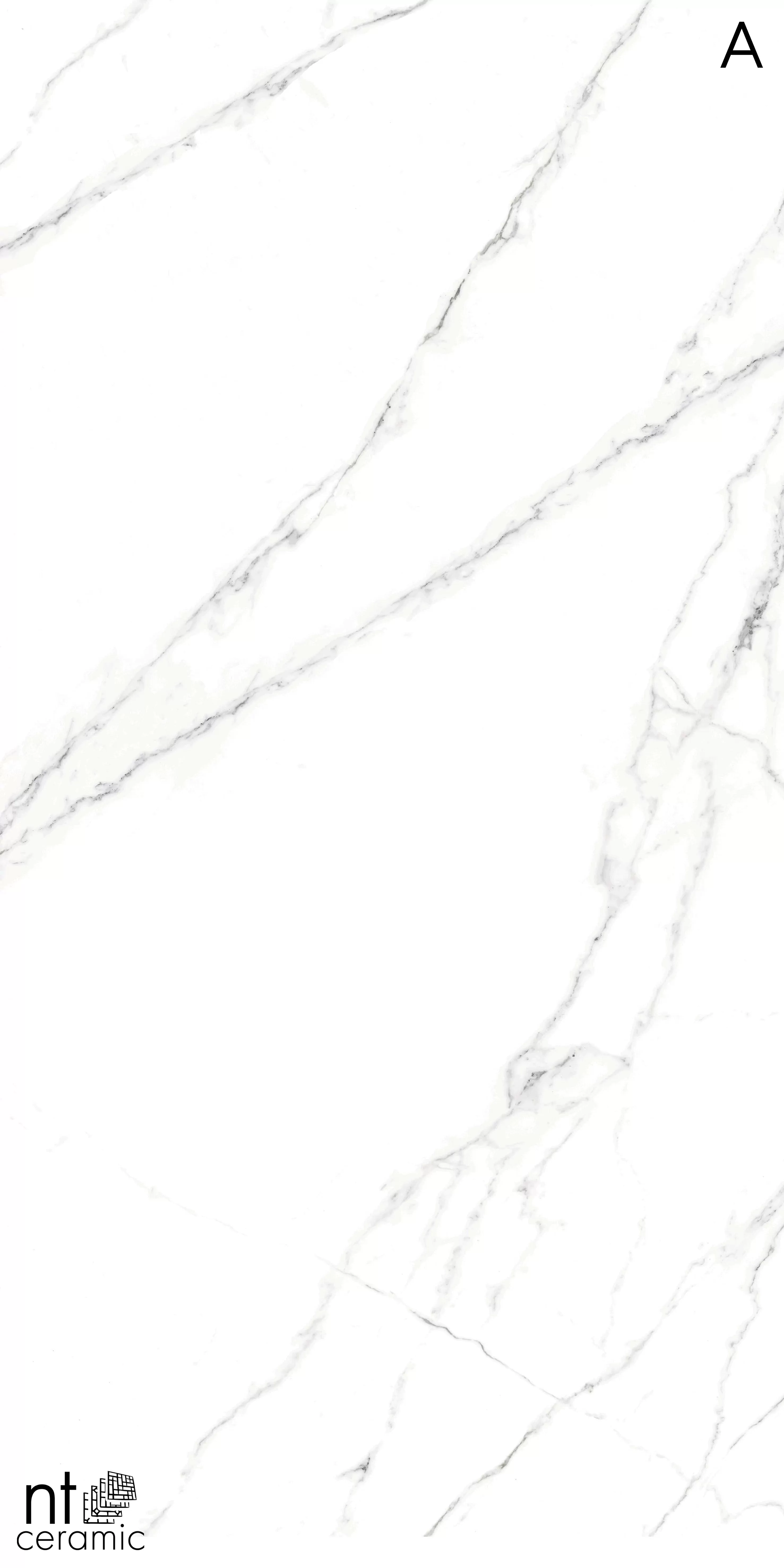 Керамогранит NTT3506L Calacatta Light 120x270