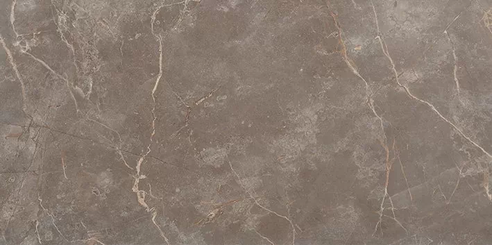 Плитка fRF5 Roma Stone Pietra Brown Matt (2 pcs) 80х160