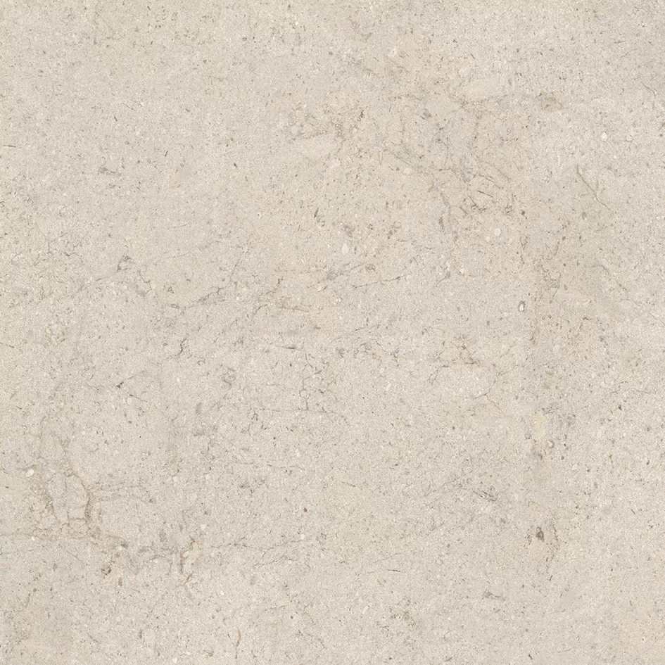 Керамогранит 100348054 Dorcia Bone L 80x80