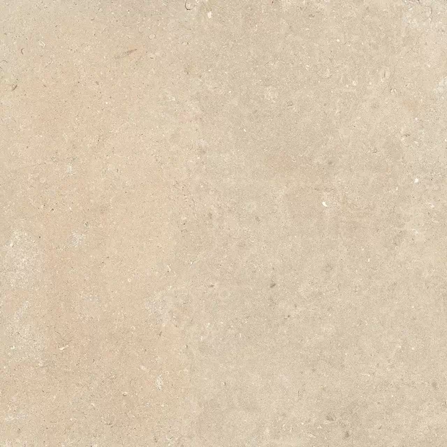 Керамогранит 781103 Authentic Luxe Stone Dordogne Grip 20mm 120x120