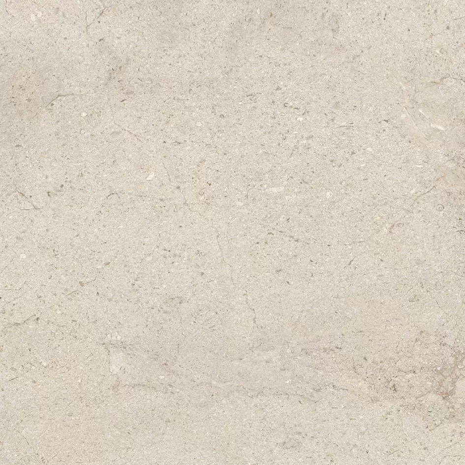 Керамогранит 100348054 Dorcia Bone L 80x80