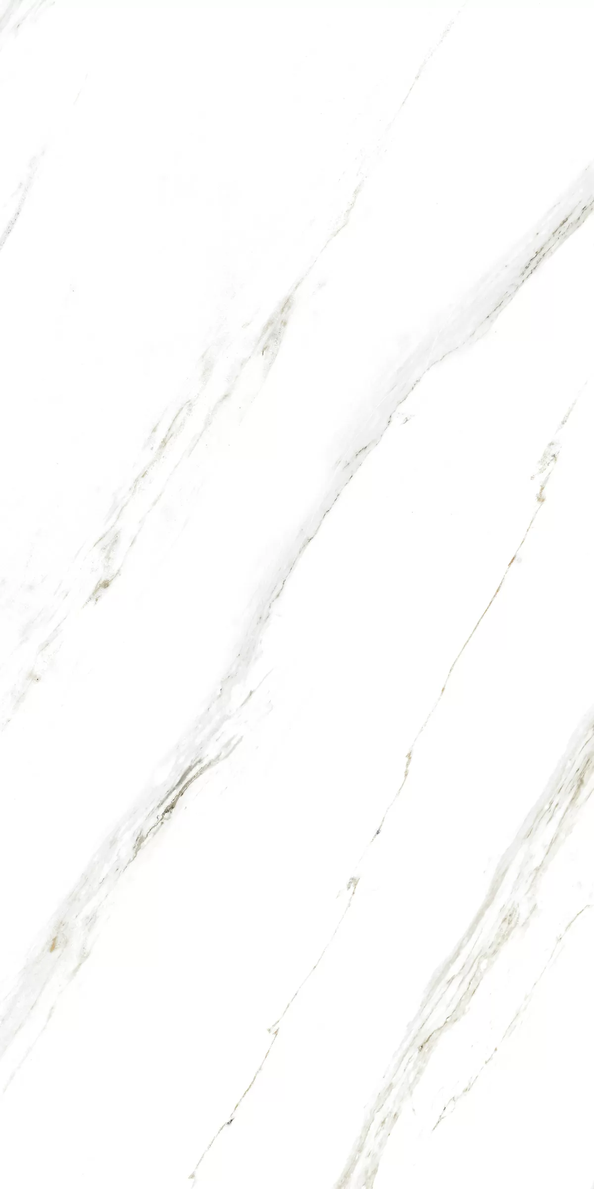 Керамогранит 885 Calacatta Caldia 120x60