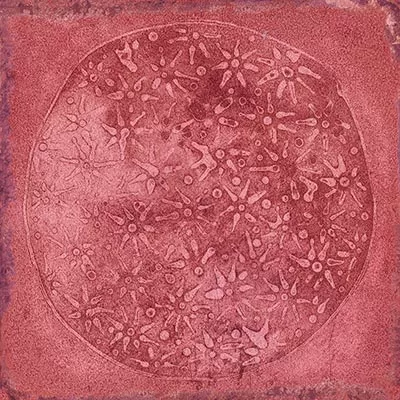 Плитка Carlo Granate-B 20x20