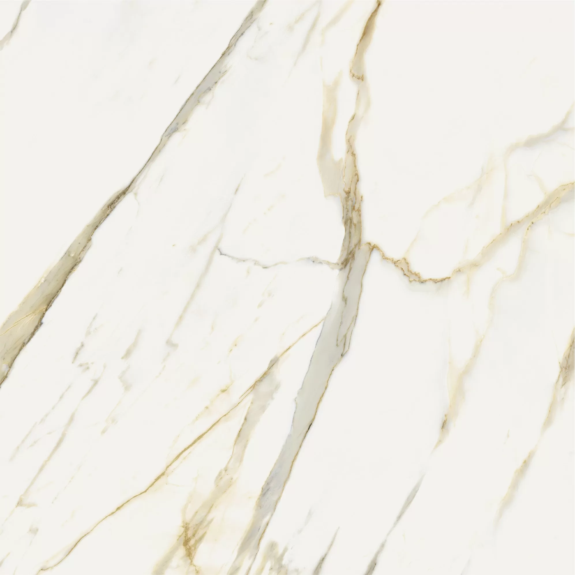 Керамогранит 600010002387 Stellaris Calacatta Gold Nat Ret 120x120