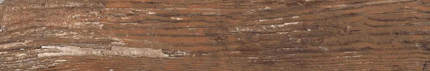 Керамогранит Kiwi Redroot Mat 20x120
