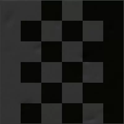 Плитка Sancy Basalto Negro 20x20