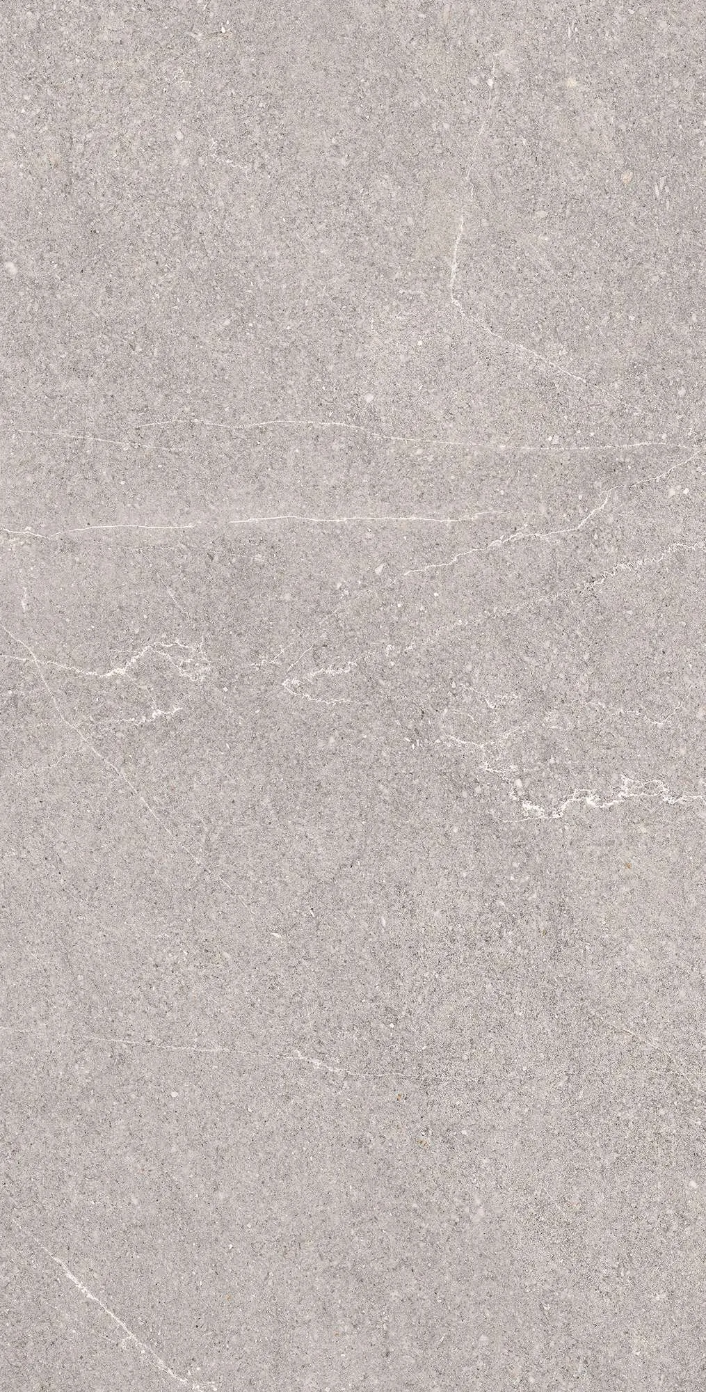 Керамогранит RG6001-A Equistone Gris Rotto Glossy Ink 60x120