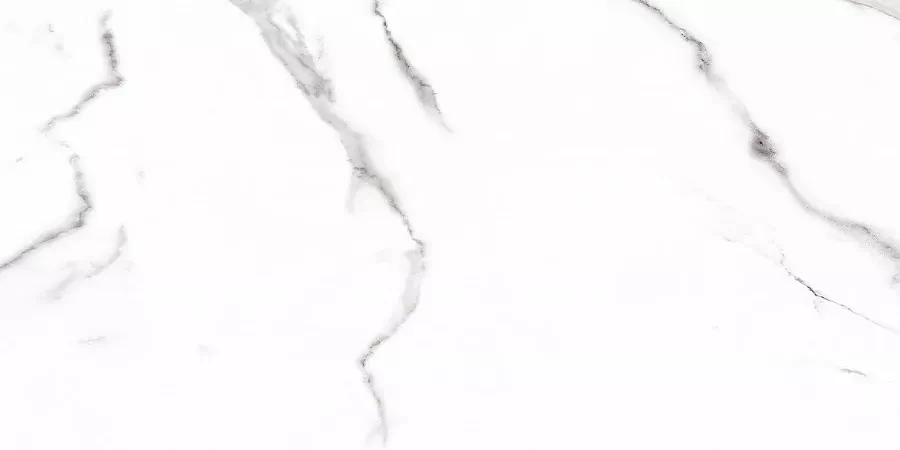 Керамогранит Carrara Rect матовая 60x120