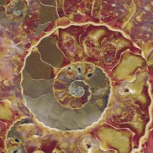 Керамогранит FM3333 Fossil Mix 33х33