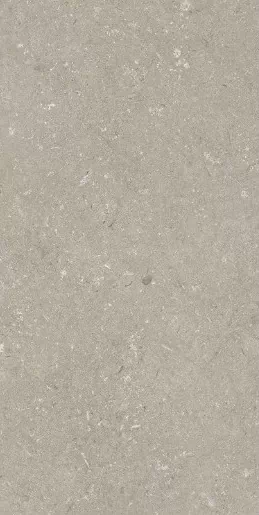 Керамогранит 005468 Shellstone Taupe 60x120