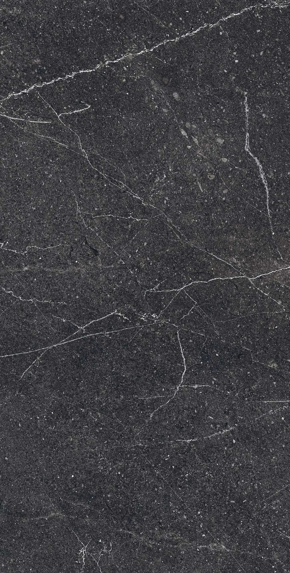 Керамогранит RG6003-A Equistone Charcoal Rotto Glossy Ink 60x120