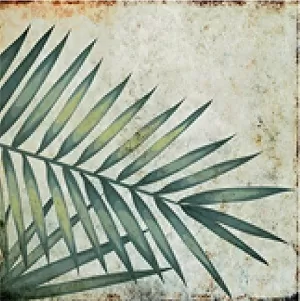 Керамогранит TR3333 Tropic 33х33