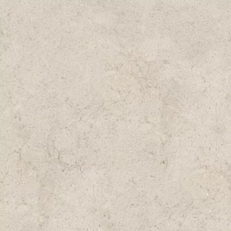 Керамогранит 100348020 Dorcia Bone L 120x120