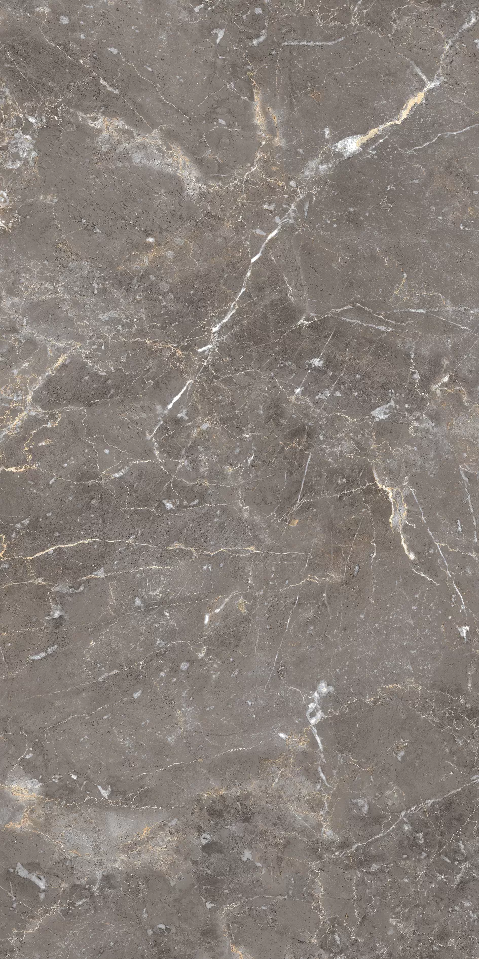 Керамогранит MPL-057488 Breccia Oniciata 80х160