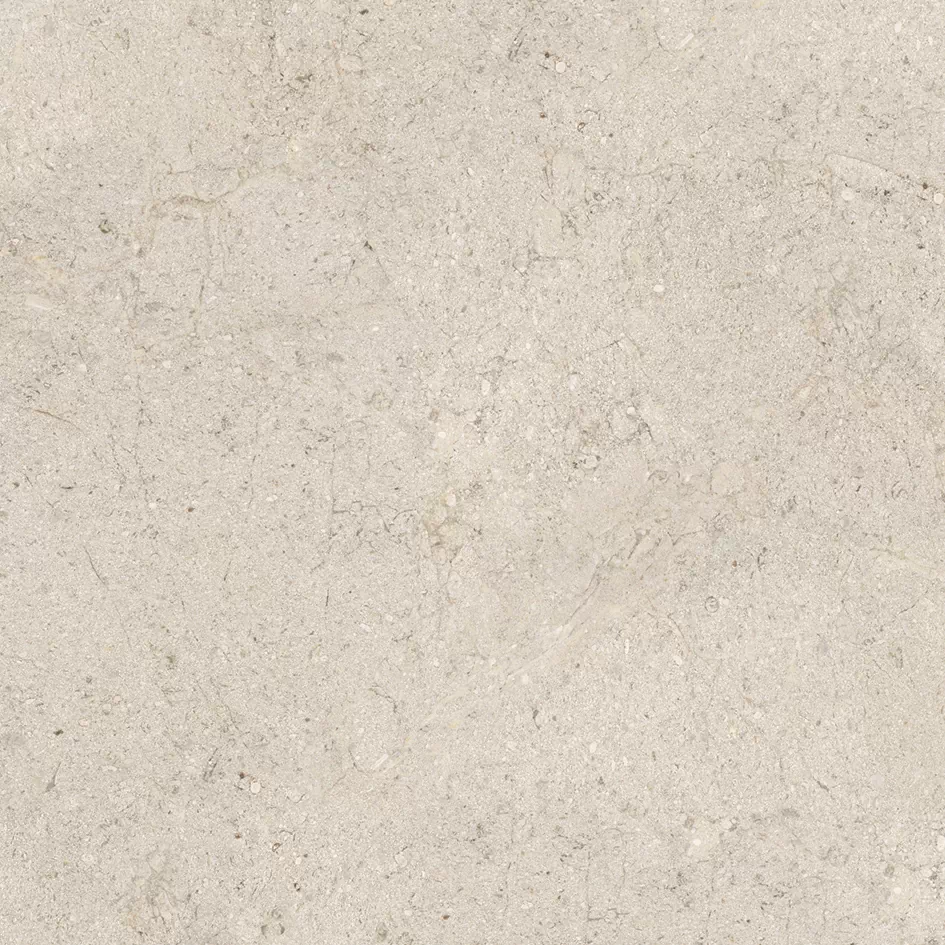 Керамогранит 100348054 Dorcia Bone L 80x80
