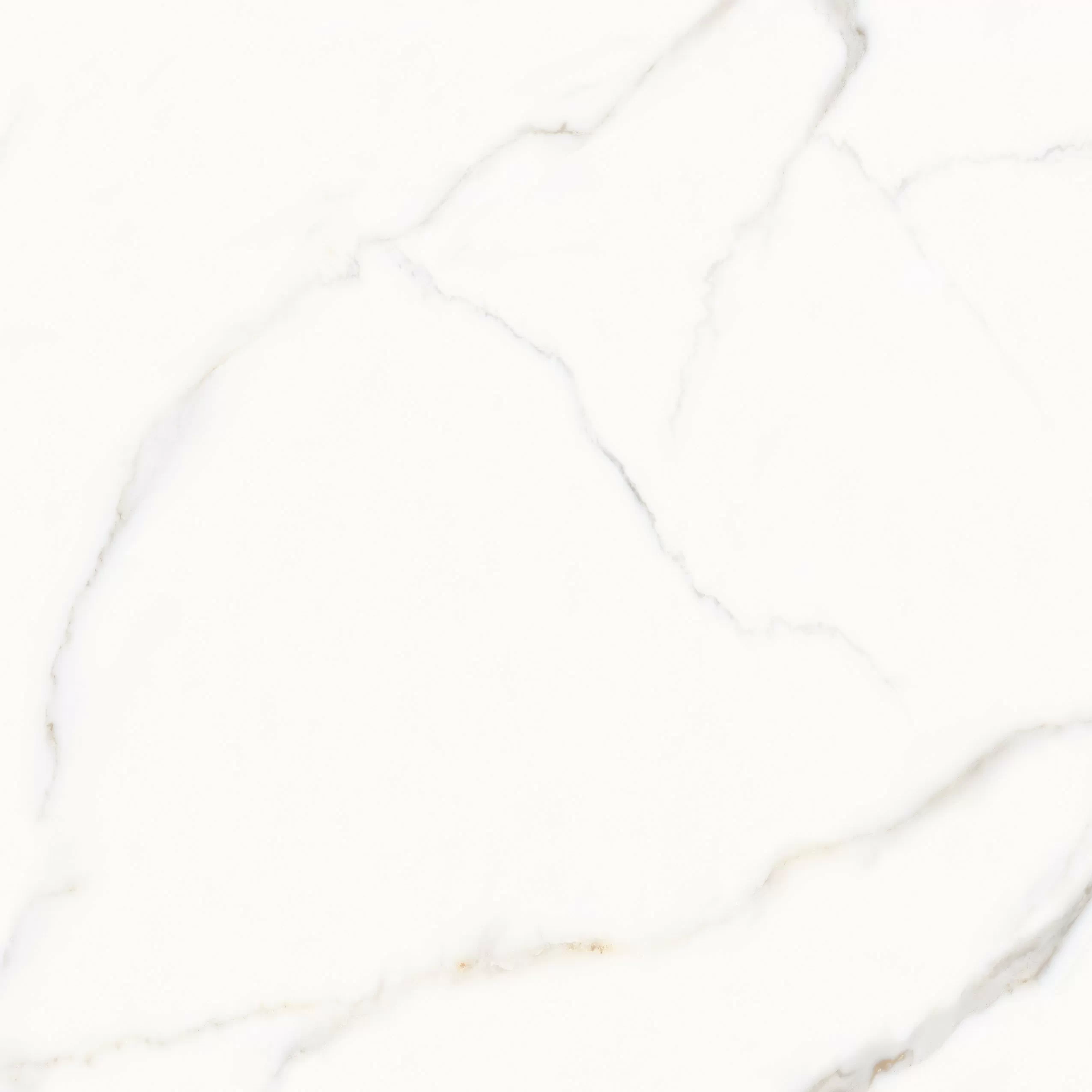 Керамогранит Tokyo White PGVT 120x120