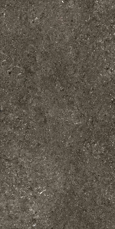 Керамогранит 768625 Sensi Brown Fossil Nat Ret 6mm 60x120
